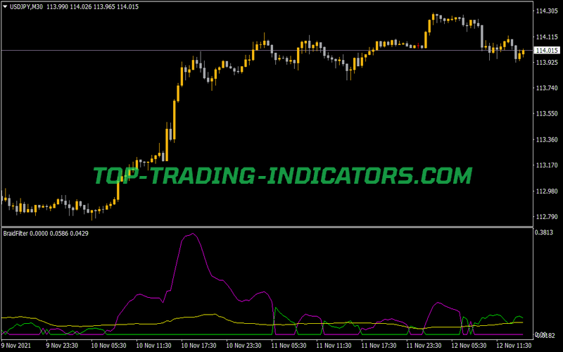 Braid Filter Indicator for MT4