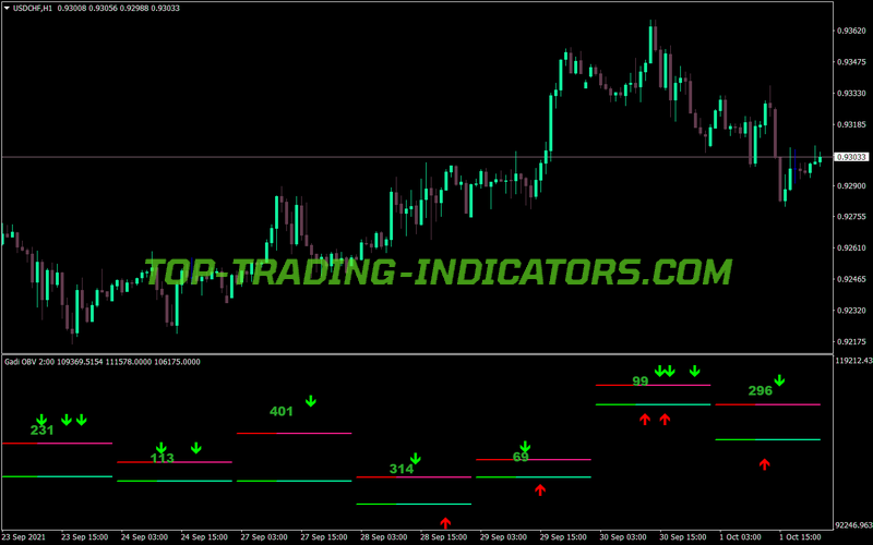 Balance Volume Gadi Custom Range MT4 Indicator