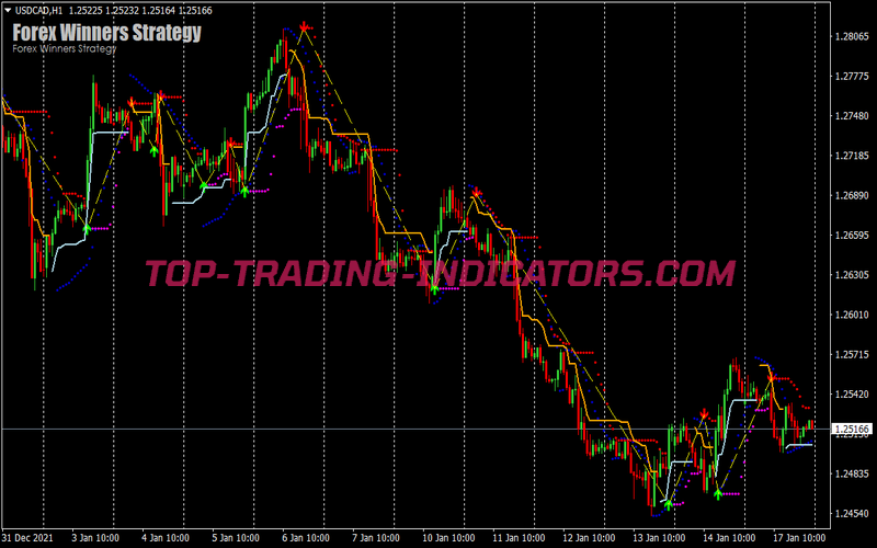 Best Winners Scalping System for MT4