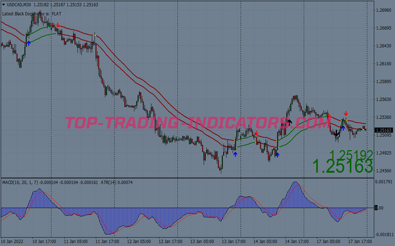 Black Dog Cross Trading Strategy for MT4
