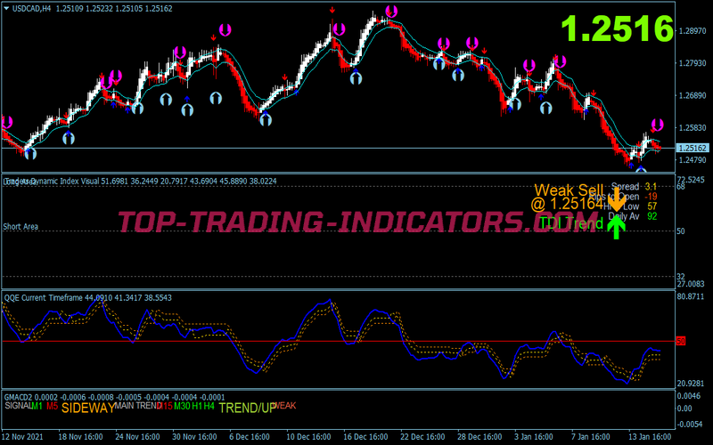 Black King Trading Strategy for MT4