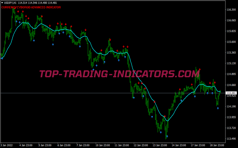 Cyborg Alert Scalping System for MT4