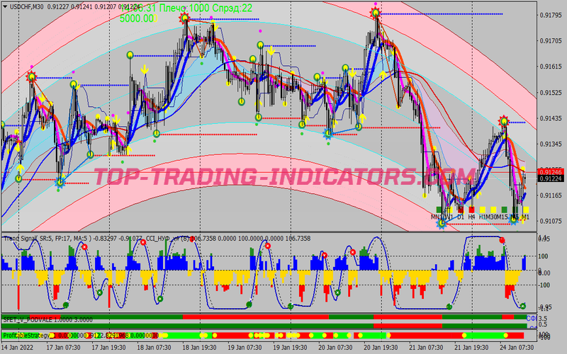 Profit Order Binary Options System for MT4
