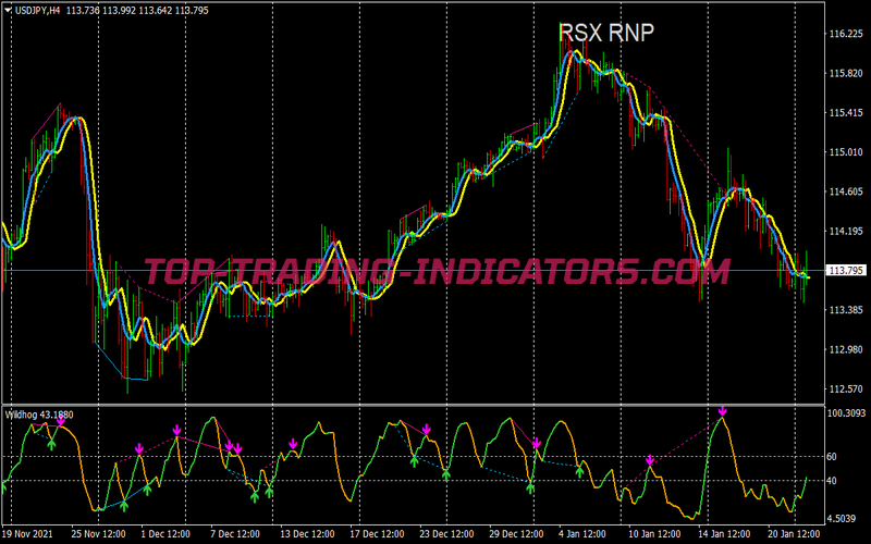 Rsx Rnp Divergence Trading Strategy for MT4