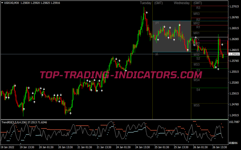 Trend Rsi Scalping System for MT4